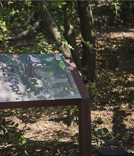 Panel informativo en el bosque del cerro